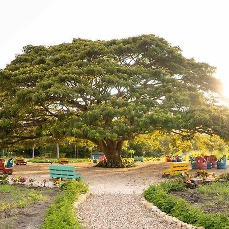 Hacienda La Huerta, Puerto Plata Villa Bagian luar foto