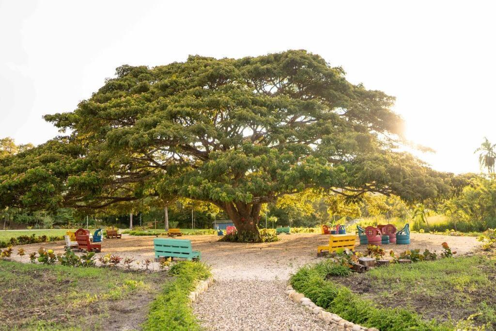 Hacienda La Huerta, Puerto Plata Villa Bagian luar foto